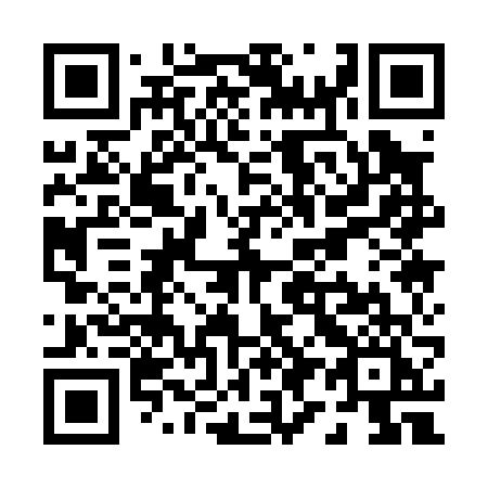 QR code for P9106I