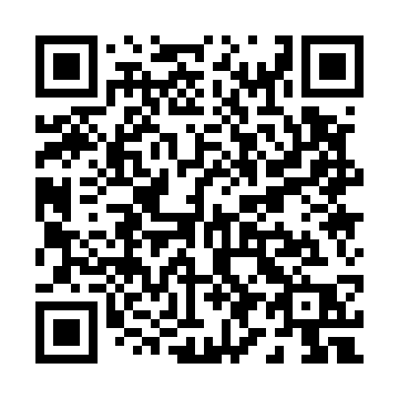 QR code for P9153P
