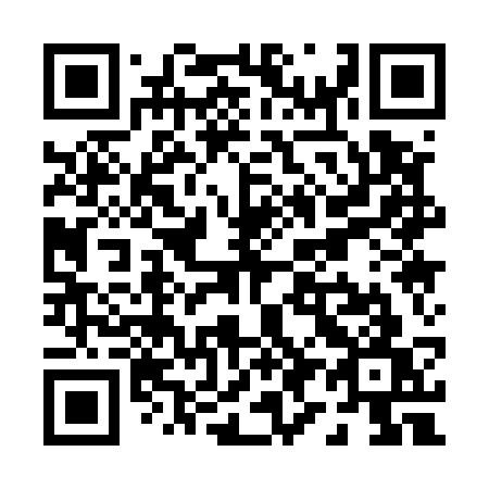 QR code for plate P91-53W