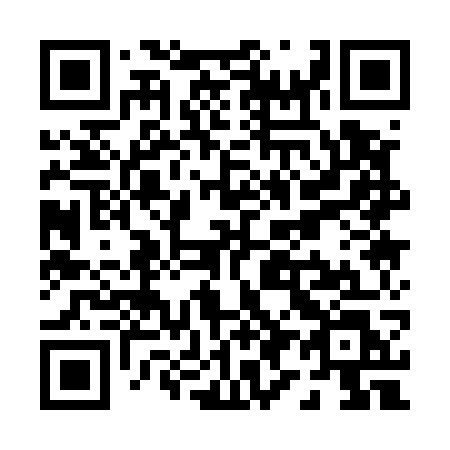 QR code for P9157L