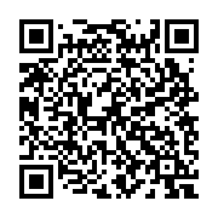 QR code for P92-39I