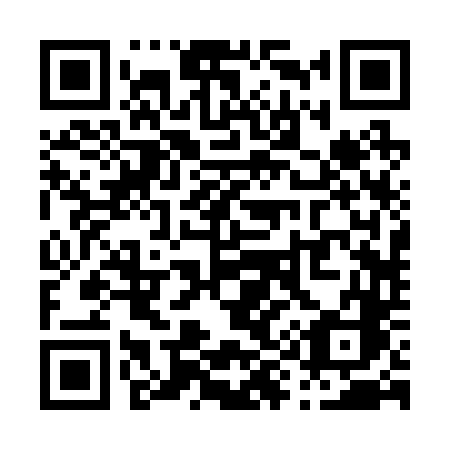 QR code for P9224C