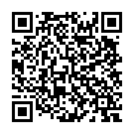 QR code for plate P92-46Y