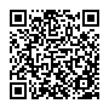 QR code for P9295B