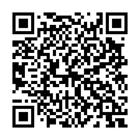 QR code for plate P93-03F