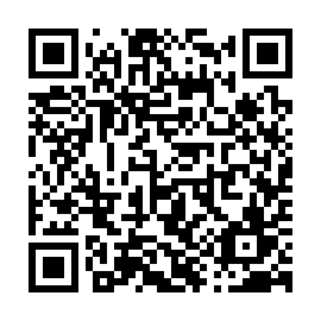 QR code for P9331V