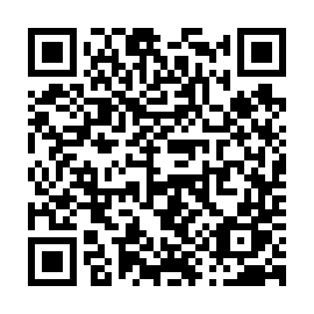 QR code for plate P93-64P