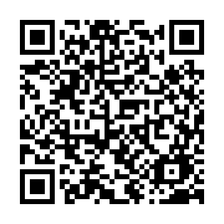 QR code for P95-27G