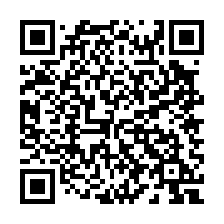 QR code for P9501E