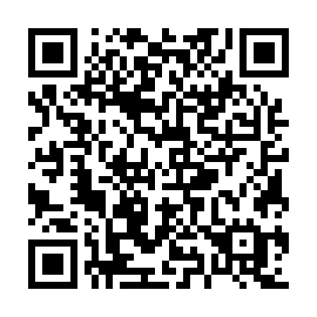 QR code for P9517E