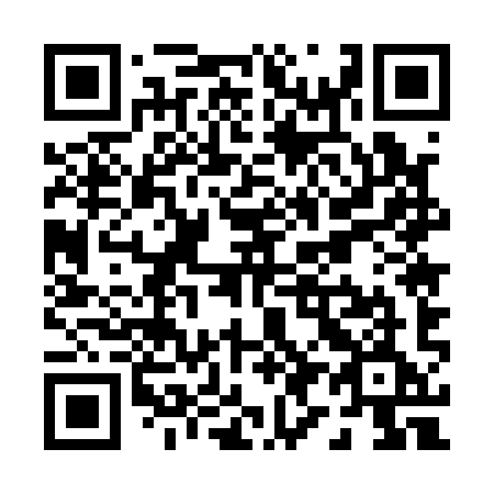 QR code for P9519E