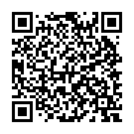 QR code for P9529U