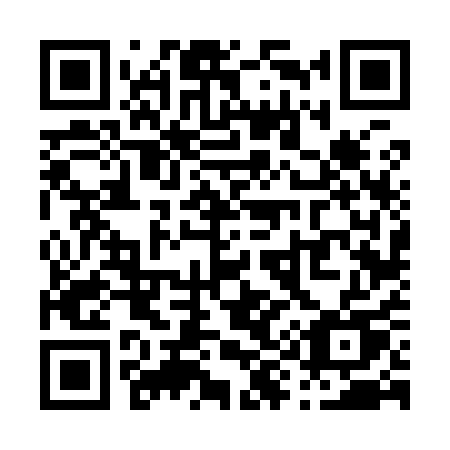 QR code for P96-91U