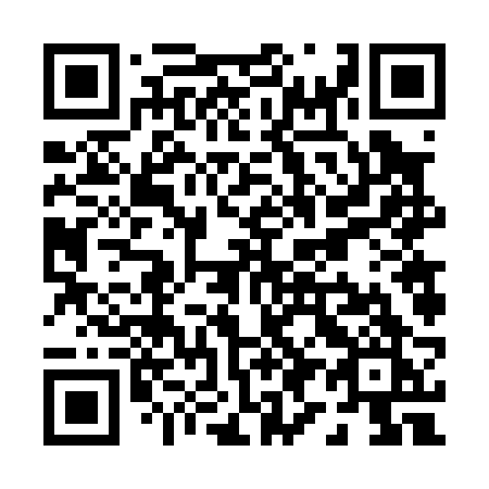 QR code for plate P96-02K