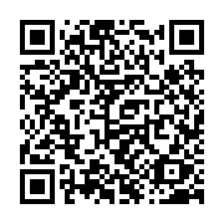 QR code for plate P96-22X