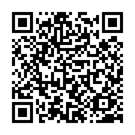 QR code for P9652P