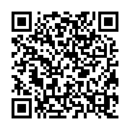 QR code for P9787H