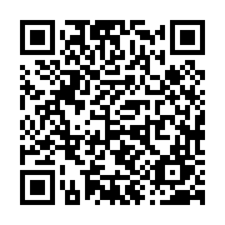 QR code for plate P98-06T
