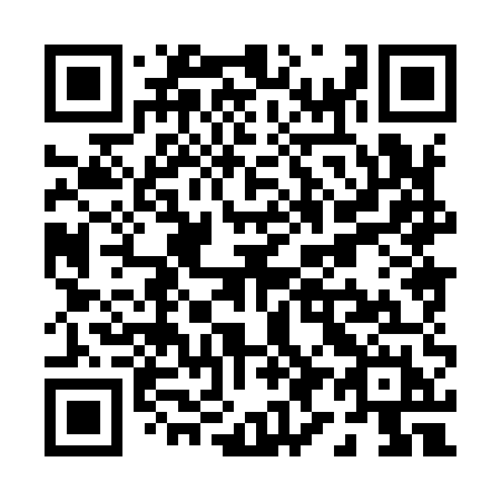 QR code for P9895H