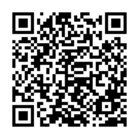 QR code for P99-24V