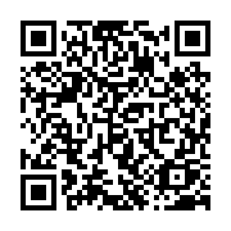 QR code for plate P99-27P