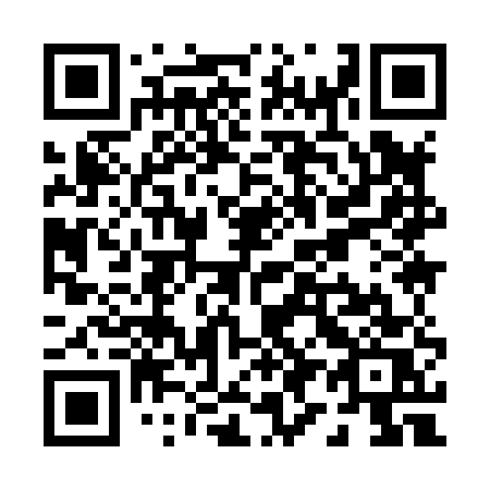 QR code for plate P99-85S