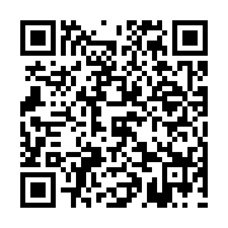 QR code for PAE339