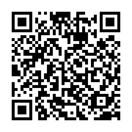 QR code for PAE538