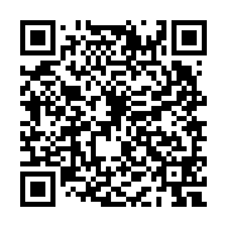 QR code for plate PAJ-698