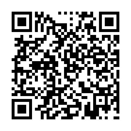 QR code for PAU-233