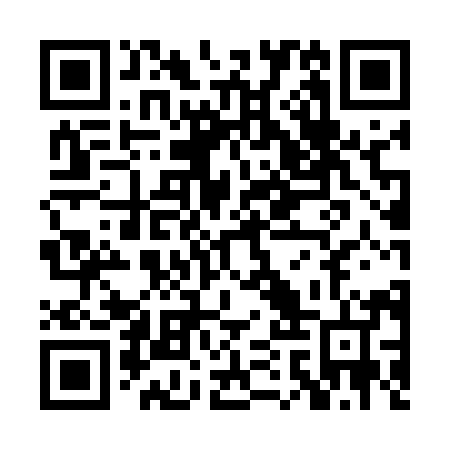QR code for PAU594