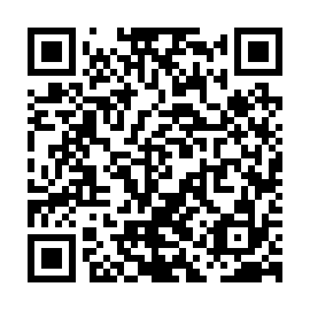 QR code for PAV232