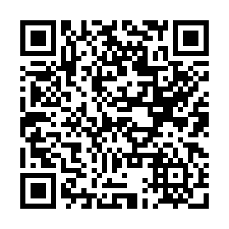 QR code for plate PAZ-384
