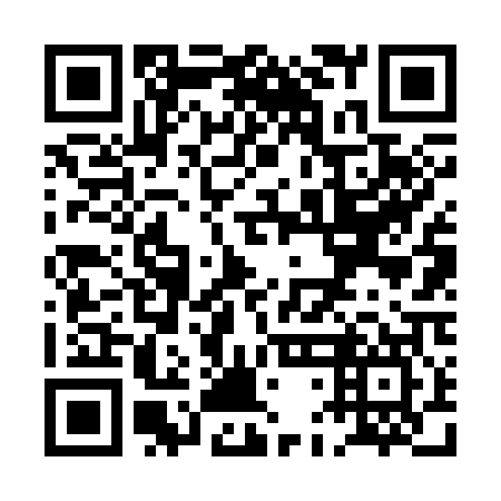 QR code for PDF-307