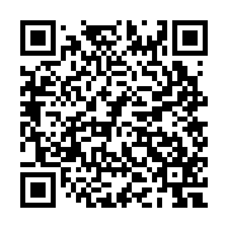 QR code for PDG-317
