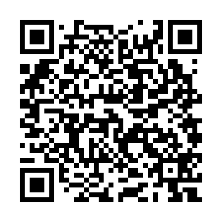 QR code for plate PDV-319