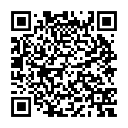 QR code for plate PEY-234