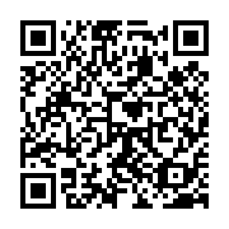 QR code for plate PFG-419