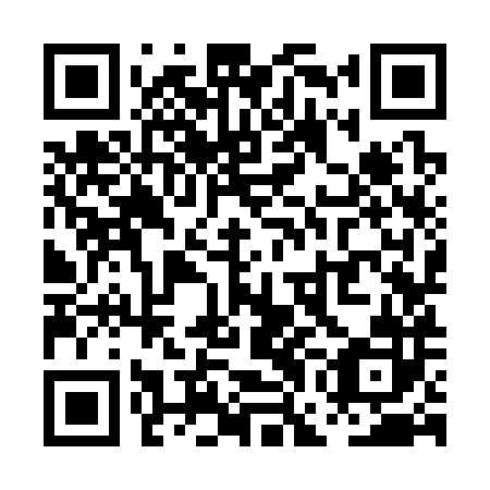 QR code for PGK382