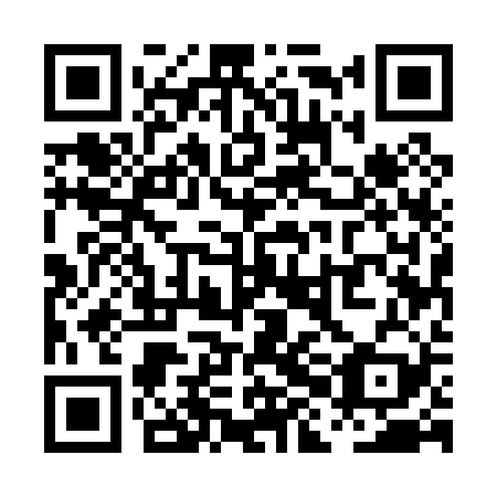 QR code for PHE-029