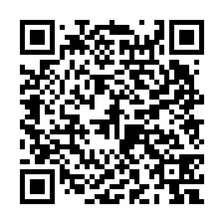 QR code for PHP-638