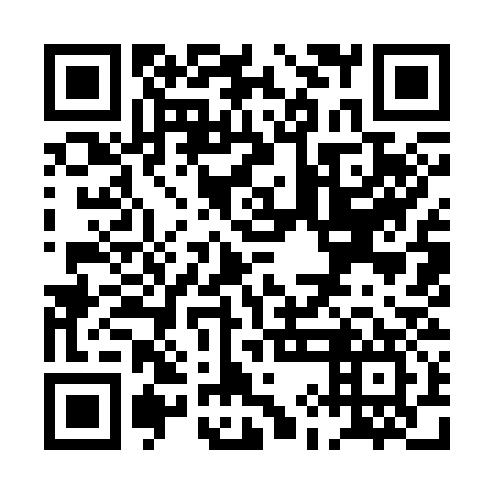 QR code for PII337
