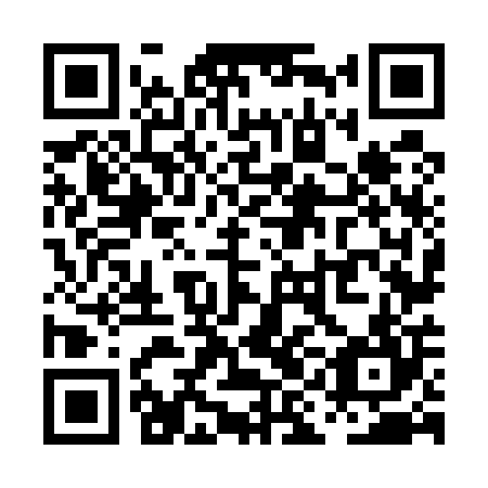 QR code for PIN504