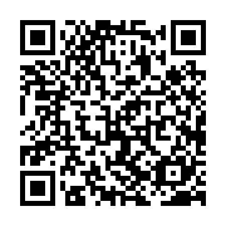 QR code for plate PJP-225