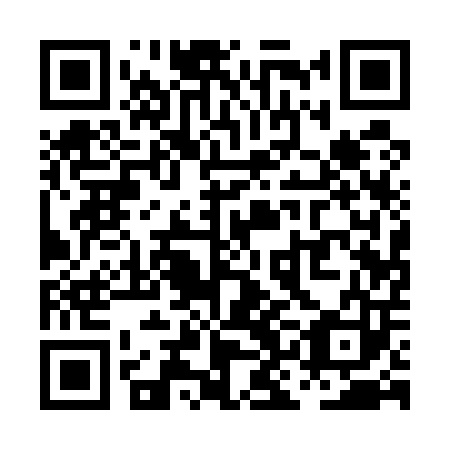QR code for plate PKA-503