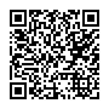 QR code for plate PLT-838
