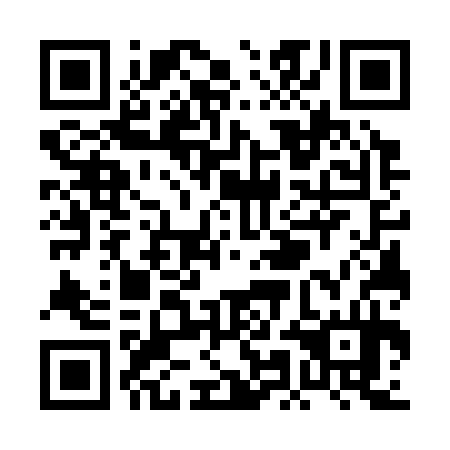 QR code for plate PMG-334