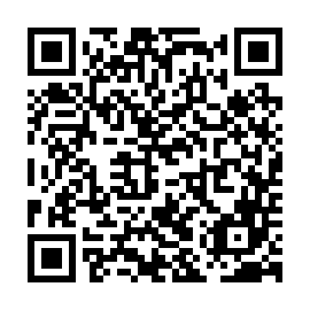 QR code for PMS246