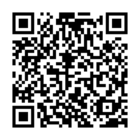 QR code for plate PMZ-838