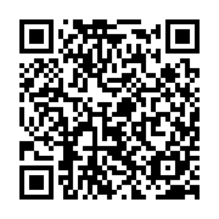 QR code for plate PNQ-305